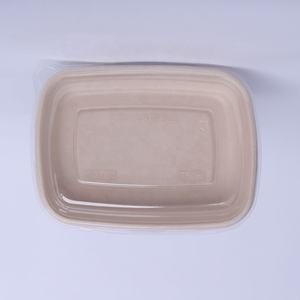 Assiettes jetables écologiques biodégradables en bagasse de canne à sucre, plateaux imperméables pour l'emballage des légumes, de la viande et des voyages - Product Image 3