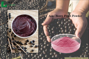Bubuk buah <span class=keywords><strong>Acai</strong></span> alami murni semprot bubuk beri <span class=keywords><strong>Acai</strong></span> kering - Product Image 5