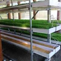 Systèmes Hydroponiques Professionnels de Production de Fourrage de 1000 kg/Jour, Conteneur de Germination et de Culture de Semences