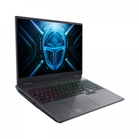 Ordinateur portable de jeu haute performance ThundeRobot 16RTX 4060 Intel I9-13900hx 24 cœurs 5,4 GHz Clavier anglais 16 Go 32 Go 240 Hz SSD