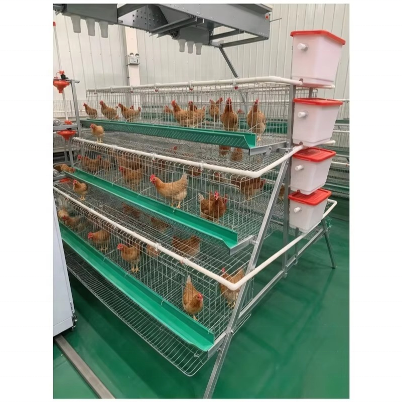 Poultry Stacker Heavy Duty Galvanized Poultry Cage System with Plastic Nesting Trays ...