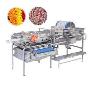 Commercial High Efficiency Full Production Line Drying Fruit and Vegetable Washing Line