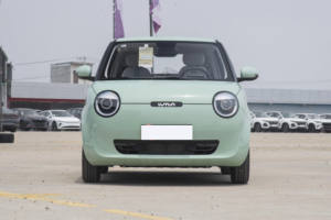 2022 2023 Changan Lumin Gebruikt Puur Elektrische Auto 'S Hoge Snelheid 101 Km/h <span class=keywords><strong>3</strong></span>-deurs 4-zits Hatchback Mini Ev Voertuig - Product Image 3