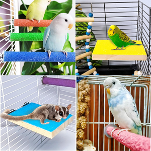 Perchoir en bois dur pour oiseaux et perroquets, jouet à mâcher pour pigeons et perroquets - Product Image 6