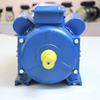 Moteur électrique monophasé à induction série YCL 110v 220v 50hz 60hz 2850rpm 5.5kw 7.5hp