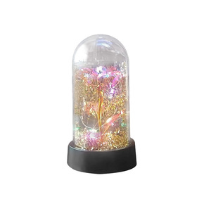 Preserved Rose Night Light With Glass Shade Led <b>Lamp</b> For Bedroom Living Room <b>Study</b> Decorative Gift - Product Image 5