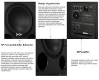 Amplificateur professionnel de guitare basse Amplificateur à tube de caisson de basses 12 pouces Système audio portable personnalisé