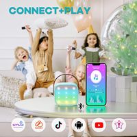 Radio Bt Haut-Parleur Rétro Solaire Portable 4Ohm Avec Amplificateur Jh-Mauk2 Avec Radio Fm Avec Usb S10