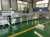 Ligne de production automatique de braisage à la vapeur pour viande marinée et fruits de mer