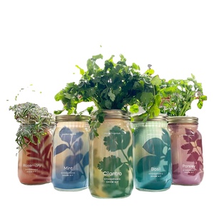 Kit herbal organik untuk dalam ruangan rumah tanaman gaya negara stoples taman ukuran kecil kotak rak kamar bayi penggunaan gantung lantai tumbuh - Product Image 1