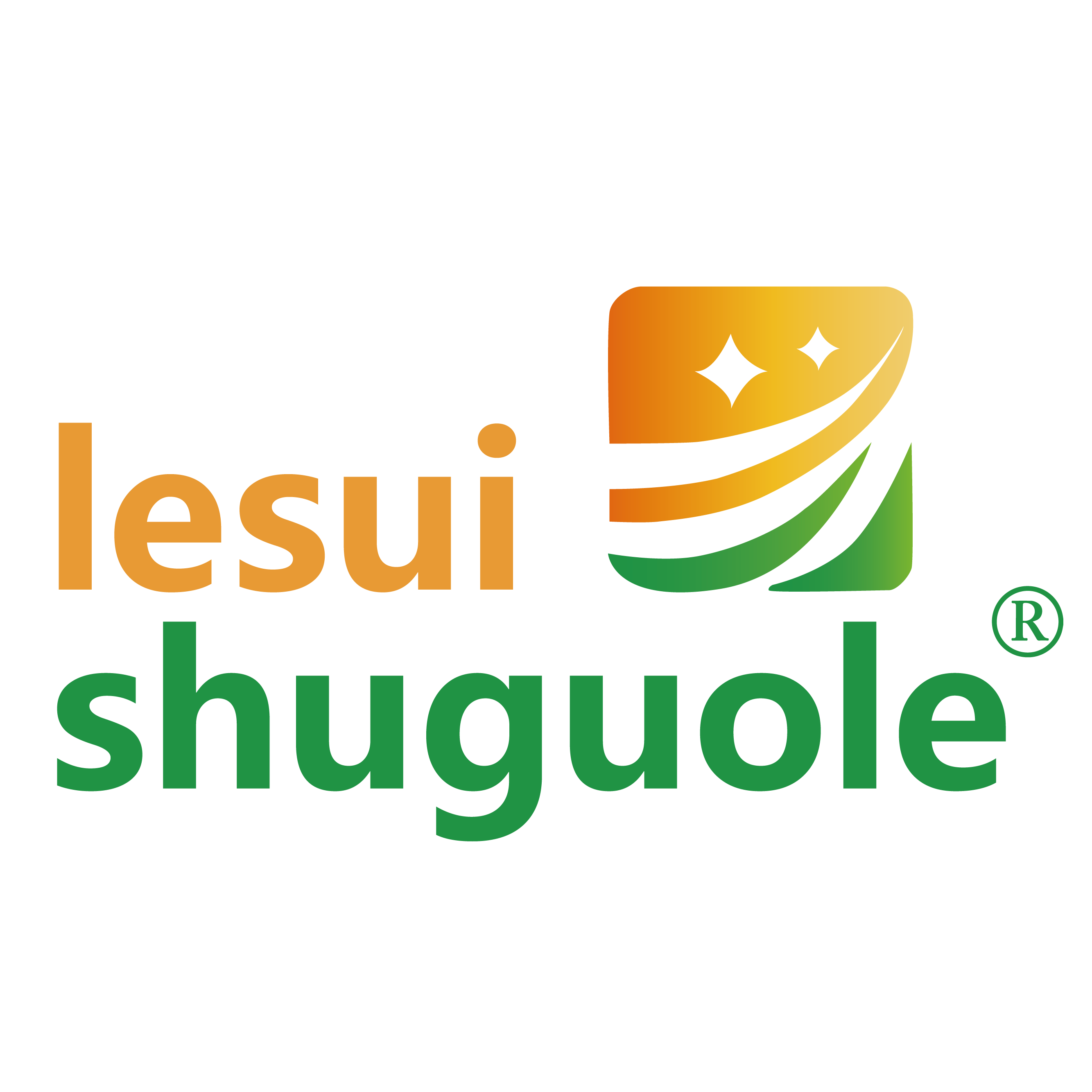 Anhui Lesui New Material Co., Ltd. logo