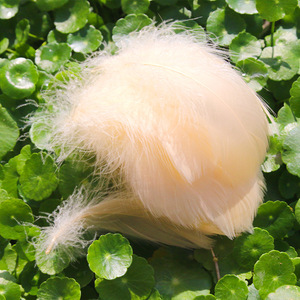Venta al por Mayor de 100 Piezas de Plumas de Ganso Teñidas Naturalmente de 6 a 12 cm, Suaves para <span class=keywords><strong>Manualidades</strong></span>, Sombreros, <span class=keywords><strong>Atrapasueños</strong></span>, Vestidos, Decoraciones de Carnaval, a Granel y Baratas - Product Image 5