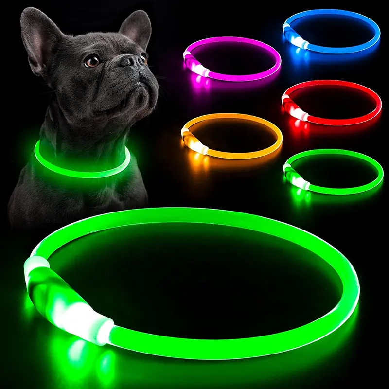 Cane da compagnia ricaricabile USB collare luminoso per animali domestici con collare luminoso lampeggiante collare per cani da passeggio all'aperto