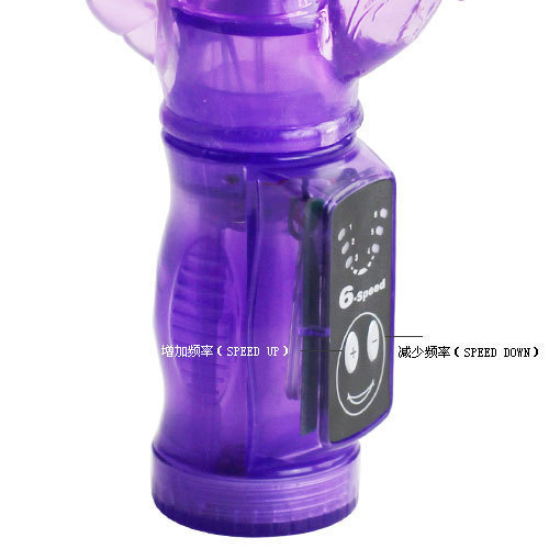 Vibromasseur lapin 6 modes, gode Anal à double moteur, produits sexuels pour femmes