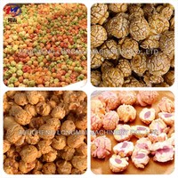Bouilloire chauffante de maïs et popcorn revêtue, grande capacité, saveur de chocolat, style américain, équipement commercial de haute qualité