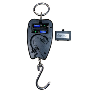 Balance de pesée numérique OEM 200 kg avec écran LCD rétroéclairé en acier inoxydable, haute durabilité, pour pêche et usage postal, modèle 102A - Product Image 3