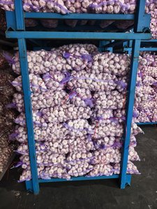 Proveedor de Ajo Blanco Puro Fresco de Shandong, Venta al por Mayor con Empaque en Bolsa de Malla, Nueva Cosecha de Primera Calidad - Product Image 4
