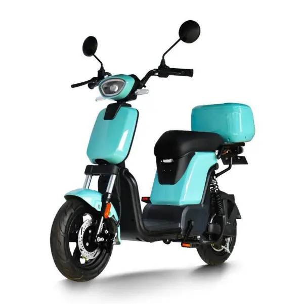 Motorino elettrico motorino con pedali motore 350W con CE 48V bici elettrica 24 pollici ruota piombo batteria triciclo elettrico per 2