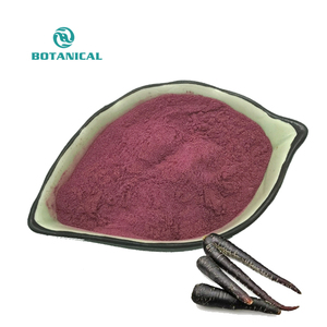 100% Tinh Khiết Tự Nhiên Daucus Carota Củ Cải Đen Chiết Xuất Nước Ép Cà Rốt Đen Bột Cô Đặc - Product Image 1