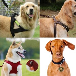 Accesorios de Agarre para Bolso con Diseño de Cabeza de Gato en Forma de Trapezoide y Anillo de Media Lluna - Product Image 5