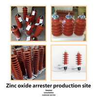 Parafoudre Lingc haute tension AC 10KV HY5WS-17/50, isolation composite en caoutchouc de silicone, protection contre la foudre à l'oxyde de zinc