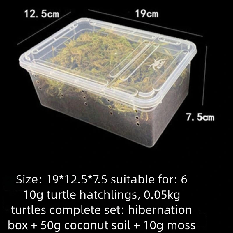 Petite boîte d'hibernation livrant un arrosoir en mousse de noix de coco