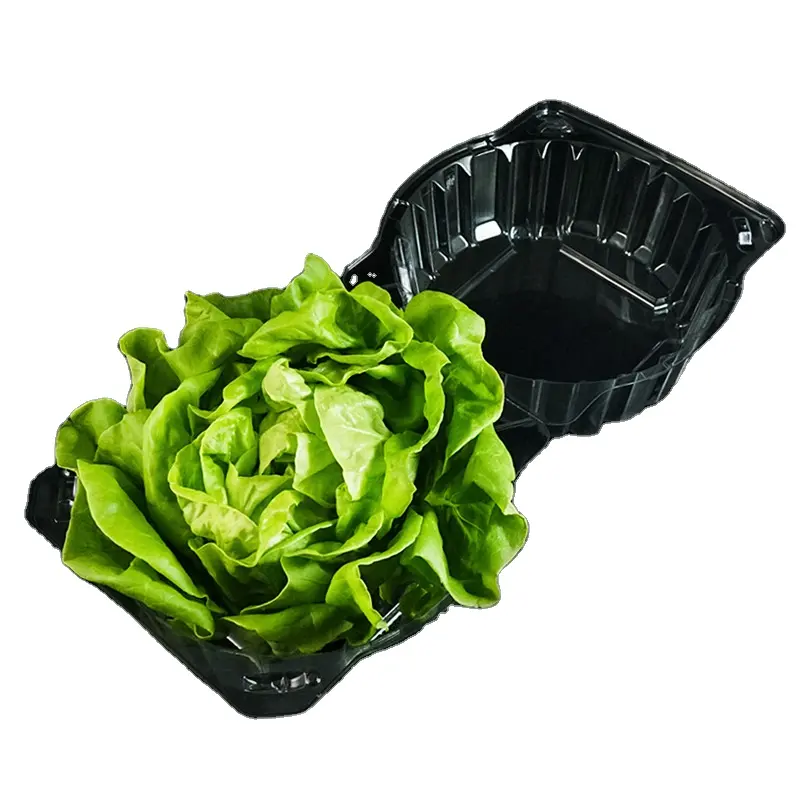 Contenitore di plastica trasparente eco-friendly scatola fragola imballaggio Blister per frutta e verdura imballaggio per piatti e ciotole di plastica