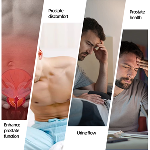 OEM ODM Prêt à expédier Sachets de thé bien-être pour hommes Mélange naturel de palmier nain et de marron chouteau Favorise le confort urinaire et la vitalité 30 sachets - Product Image 2