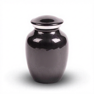 Pet Cremation <b>Urn</b> for Dogs <b>Cats</b> Aluminum Ashes Keepsake with Secure Screw Lid - Product Image 1