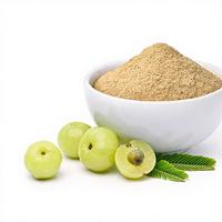 Poudre de feuilles d'Amla de qualité supérieure, dérivée de la plante Emblica Officinalis, matière première végétale botanique, approvisionnement en vrac, première qualité, en bouteille