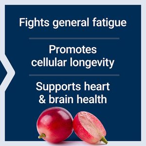 Suplemento de NAD de Marca Privada, Mezcla Sinérgica con Nicotinamida Ribósido, PQQ y Resveratrol, Cápsulas de Suplemento de NAD - Product Image 3