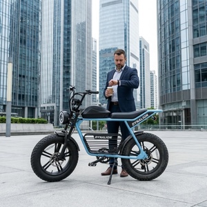 <span class=keywords><strong>Vélo</strong></span> de <span class=keywords><strong>route</strong></span> <span class=keywords><strong>électrique</strong></span> longue distance avec batterie au lithium 16Ah, <span class=keywords><strong>vélo</strong></span> <span class=keywords><strong>électrique</strong></span> Bridge pour les trajets interurbains - Product Image 6