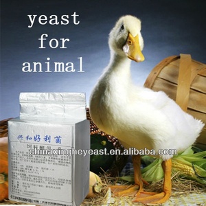 Tối ưu hóa men thức ăn dinh dưỡng chăn nuôi: Sử dụng men thức ăn chăn nuôi vịt cao cấp của chúng tôi - Product Image 3