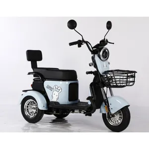 OEM Logo Tùy Chỉnh Mini E Trike 3 Bánh Xe Xe Máy Scooter 48v600w Off-Road Điện Ba Bánh Xe Máy Với Ghế Trẻ Em Đuôi Giỏ