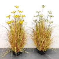 Herbe de la pampa fleurs séchées vente chaude décoration de mariage à la maison moelleux naturel roseau herbe de pampa avec pot