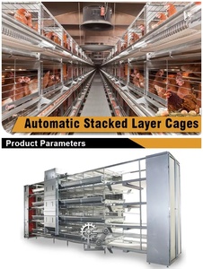 Sistema de Jaulas Automáticas Tipo H para Gallinas Ponedoras 2026, Acero Galvanizado en Caliente, Naves Avícolas de Alta Calidad y Económicas para Producción de Huevos - Product Image 6