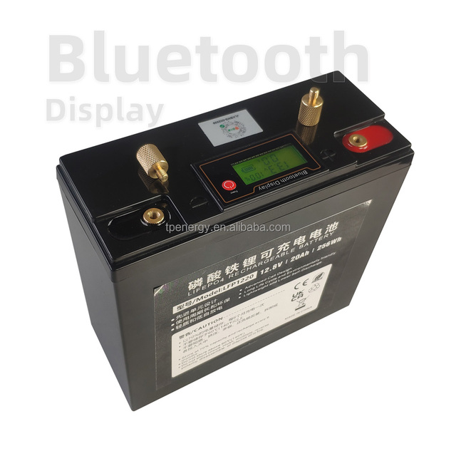 12V 20Ah Lifepo4 Battery With Bluetooth LCD Display BMS OEM 12.8V 256Wh Solar Battery Mini Lithium Ion Batteries Pack