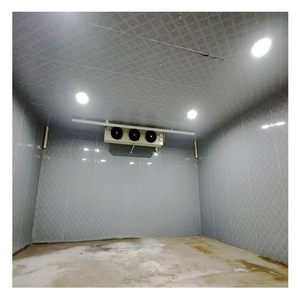 Lớn hậu cần lạnh lưu trữ cá/thịt tươi/thịt bò lưu trữ lạnh phòng lạnh - Product Image 1