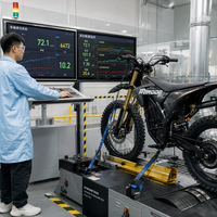 Moto tout-terrain électrique RERODE RX 35kW, directement de l'usine, 125 km/h, haute puissance, batterie lithium 97V 45Ah, moto tout-terrain pour adultes, OEM