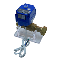 Vanne à boisseau sphérique électrique à union simple Série RDNT20 |   Raccord droit à filetage mâle |   Vanne résistante à la corrosion et facile d'entretien