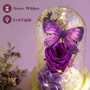 Luce Notturna a Forma di Rosa Eterna con Farfalla e Copertura <span class=keywords><strong>in</strong></span> Vetro, Ornamento Decorativo LED Creativo per Matrimoni e Compleanni - Product Image 6