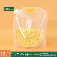 Sac de conservation alimentaire réutilisable transparent avec bec verseur et fermeture éclair anti-parasites pour riz, céréales, haricots et grains en cuisine