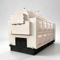 Chaudière à eau chaude industrielle à biomasse à circulation naturelle horizontale automatique pour hôtels, au charbon et au bois