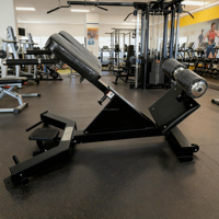 Banc d'entraînement musculaire abdominal réglable à 45 degrés pour usage commercial en salle de sport, banc d'extension dorsale hyper, chaise romaine