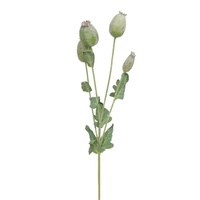 Groothandel 4 Vorken Natuurlijk Schuim Bessenbloem Tak Kunstmatige Papaver Fruit Voor Thuis Tafel Bruiloft Feest Decoratie