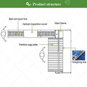 Clasificadora Fotoeléctrica de Alta Eficiencia para Huevos de Gallina y Pato, Máquina de Selección y Clasificación con Impresora - Product Image 3
