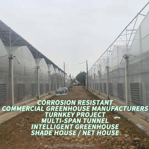 Op maat gemaakte grote commerciële tomatenkas, enkellaags, multi-span, uitgerust met corrosiebestendige, slimme landbouwtechnologie - Product Image 5