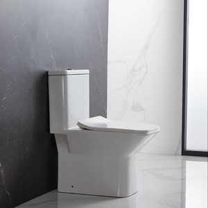 Anbi hình chữ nhật hình dạng một mảnh <span class=keywords><strong>S</strong></span> bẫy siphonic trở lại tường phòng tắm Châu Á nhà vệ sinh - Product Image 1