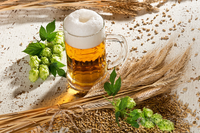 Poudre d'extrait de levure de bière de qualité alimentaire levure de bière hautement active