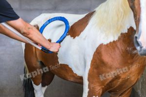 Riabilitazione di terapia del campo elettromagnetico pulsato PEMF <span class=keywords><strong>4</strong></span> Tesla con macchina ad anello per la terapia del cavallo - Product Image 4